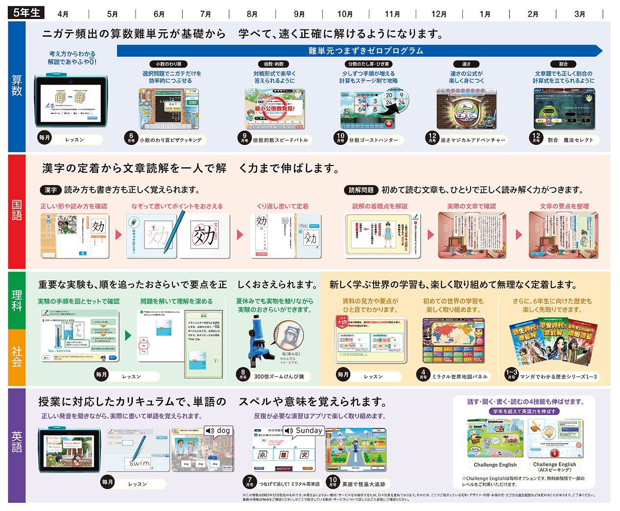 表：年間ラインナップ