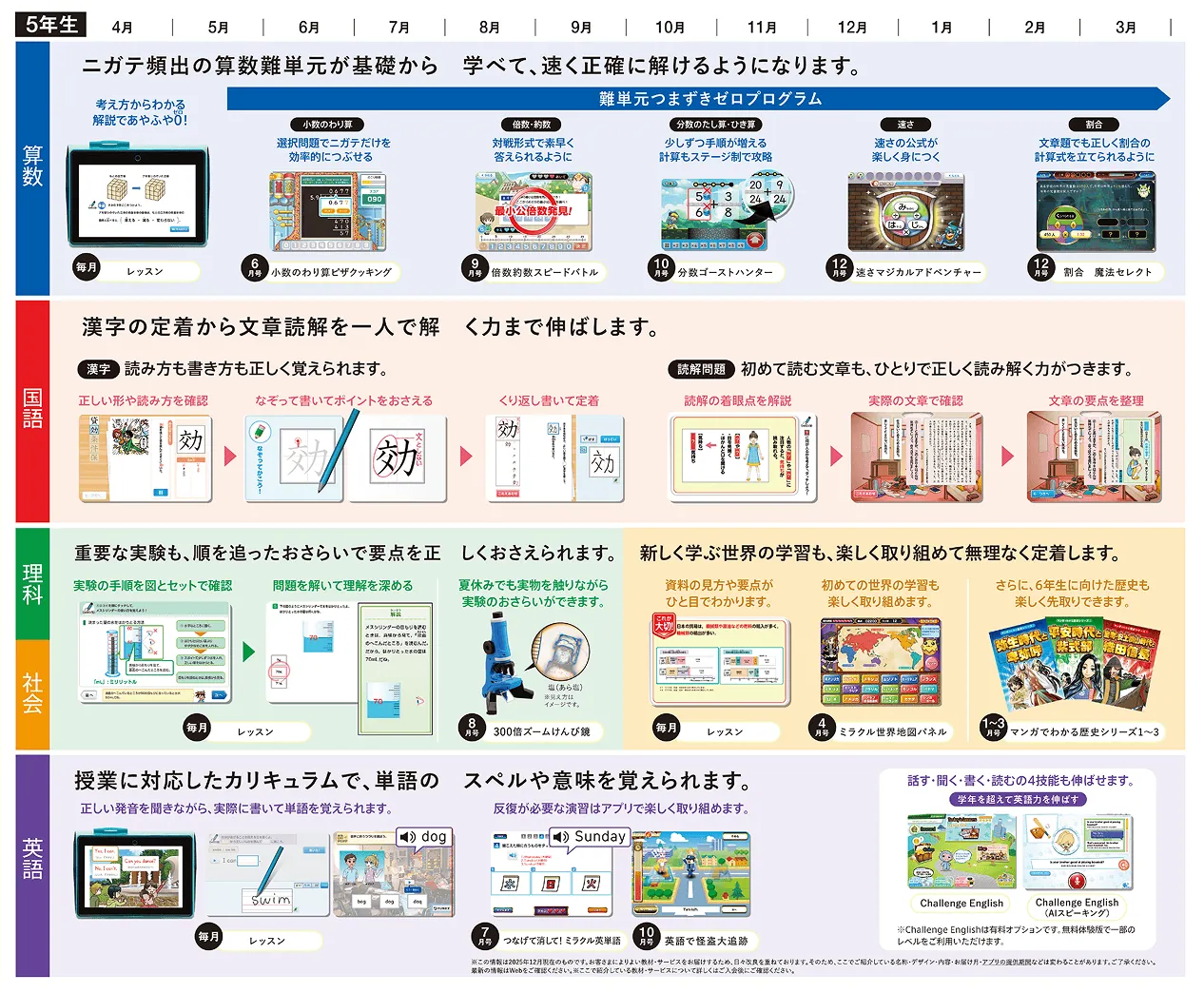 表:年間ラインナップ